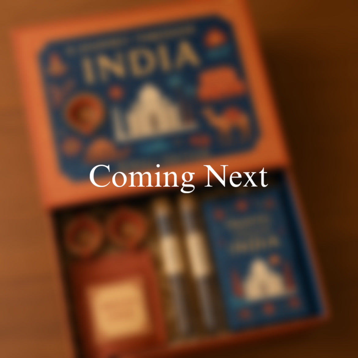 Journey through India (Diwali Edition)